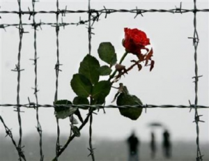 «Дети, пережившие ад». День памяти малолетних узников фашистских концлагерей